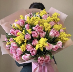 mimoza eşliğinde pembe laleler 